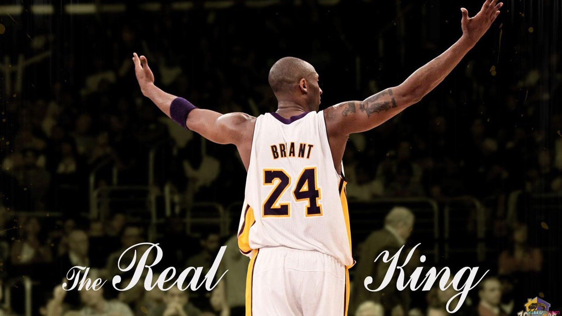 开云体育-全国青少年“拼搏之星”年度评选正式启动，表彰未来之星，拼搏之星什么意思