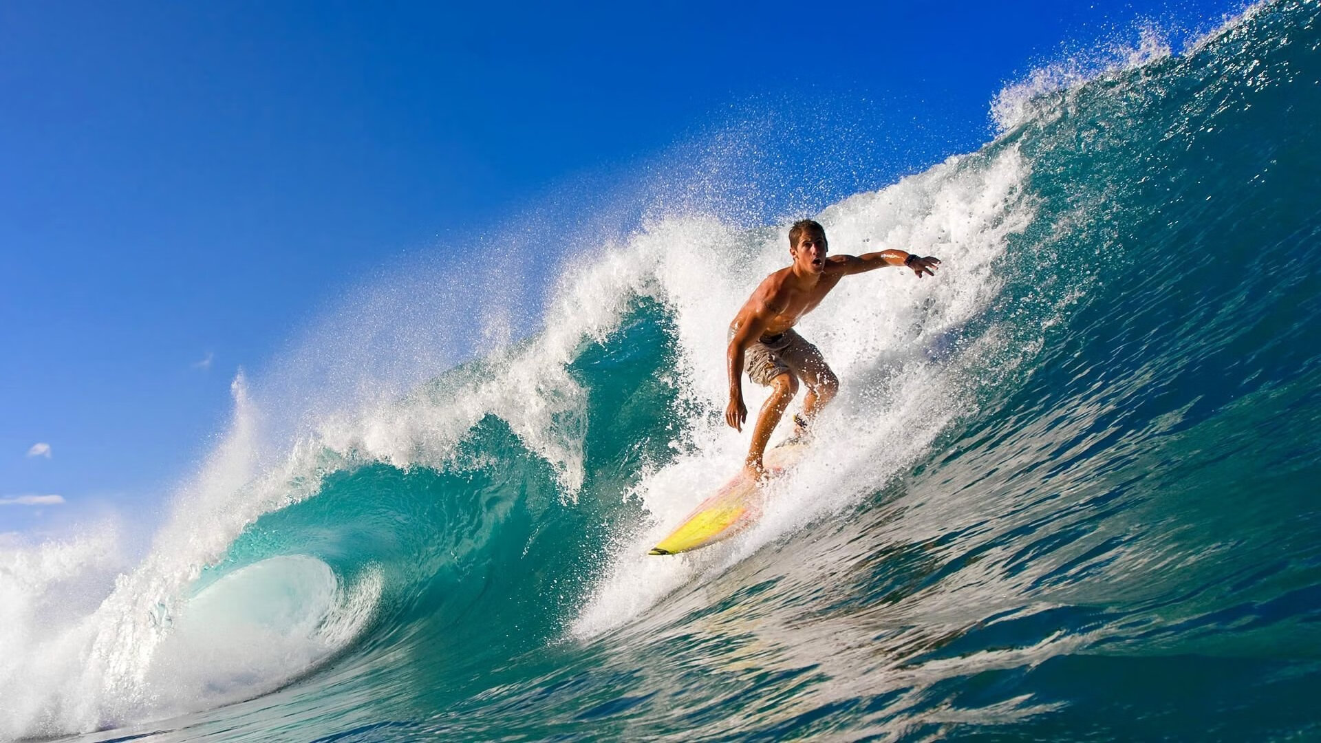 传奇回归：退休巨星跨界成为媒体评论员，传奇归来媒体大礼包